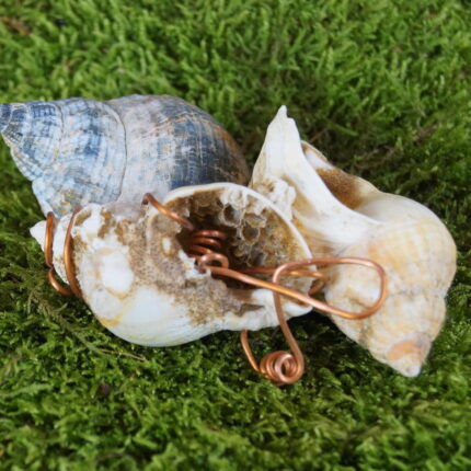 Merlin fand bei Vollmond die zauberhafte Schnecke. Die Kupferspiralen einfangen die Ozeanenergien. Ein Juwel der Vielfalt und Stärke, eine Verbindung zu Merlins Vision der Zwergenwelten. Mystik im handlichen Format.