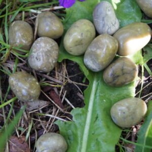 Afrika Opal