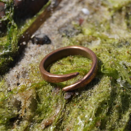 Ring aus Didis Schmiede